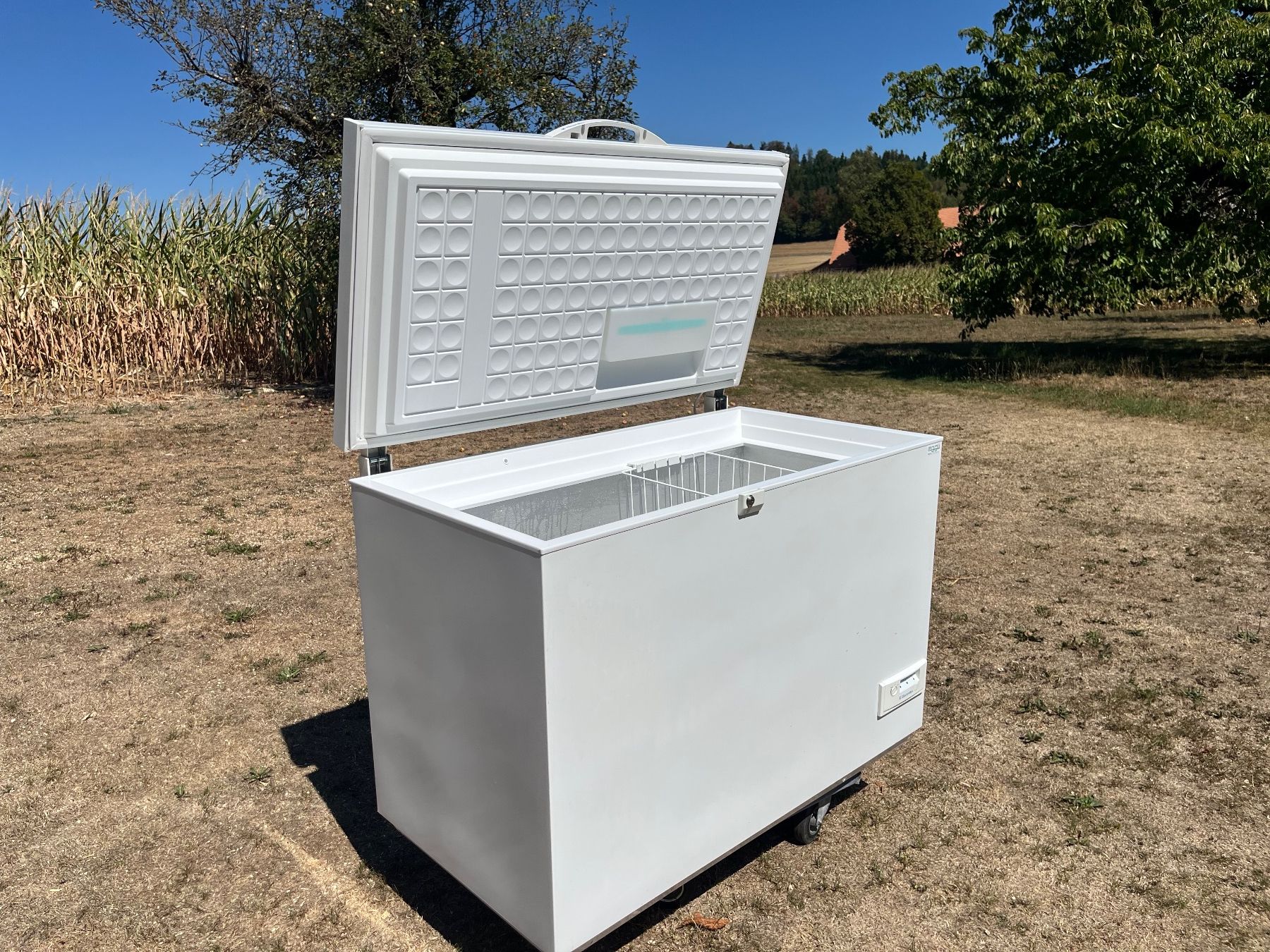 Cassapanche: Tiefkühltruhe Electrolux – Usato da Allmendingen b. BE venduto da juair 3