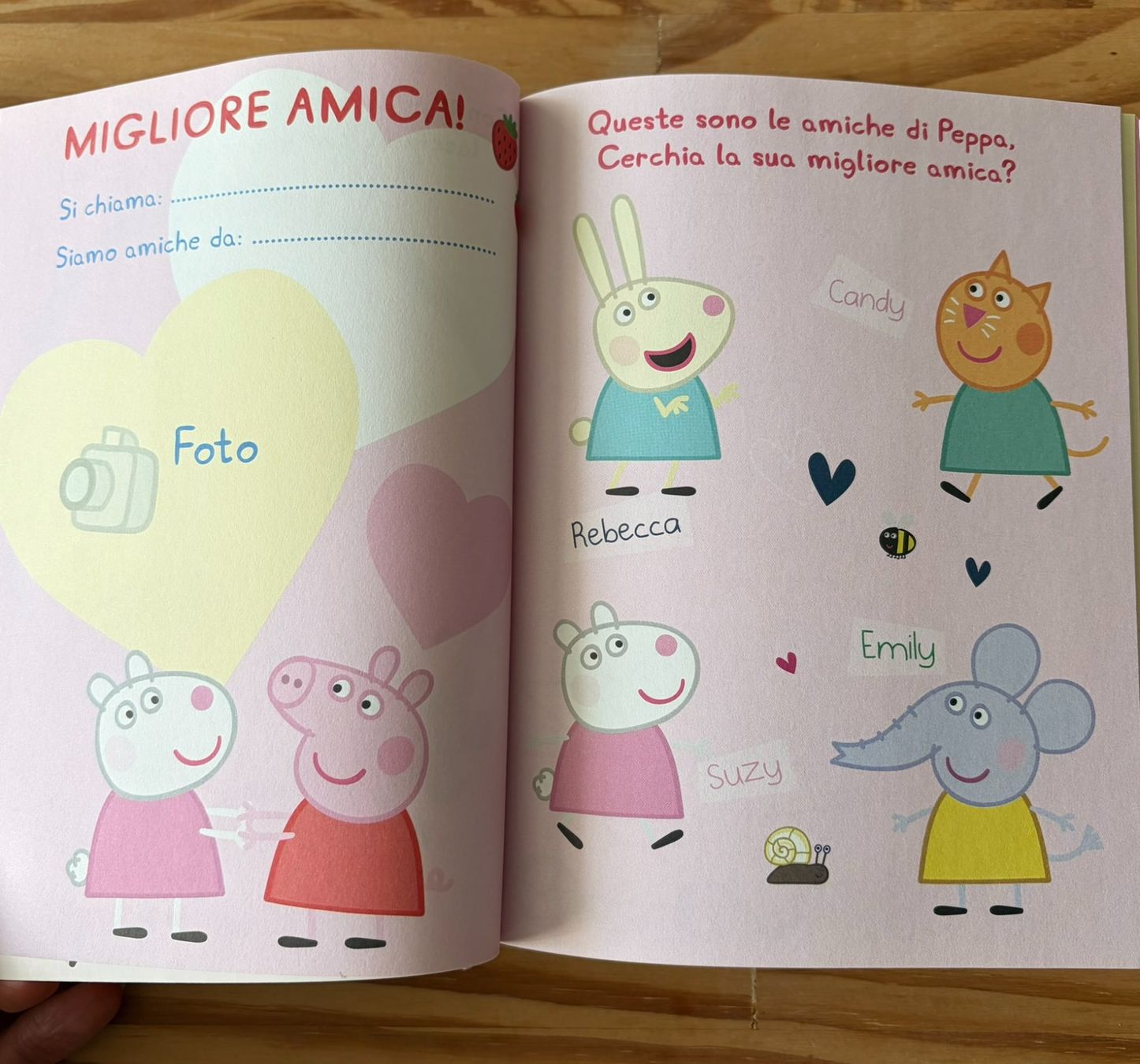 Blocchi: Il Diario di Peppa Pig – Nuovo (secondo la descrizione) da Schlieren venduto da con_hdp9 4