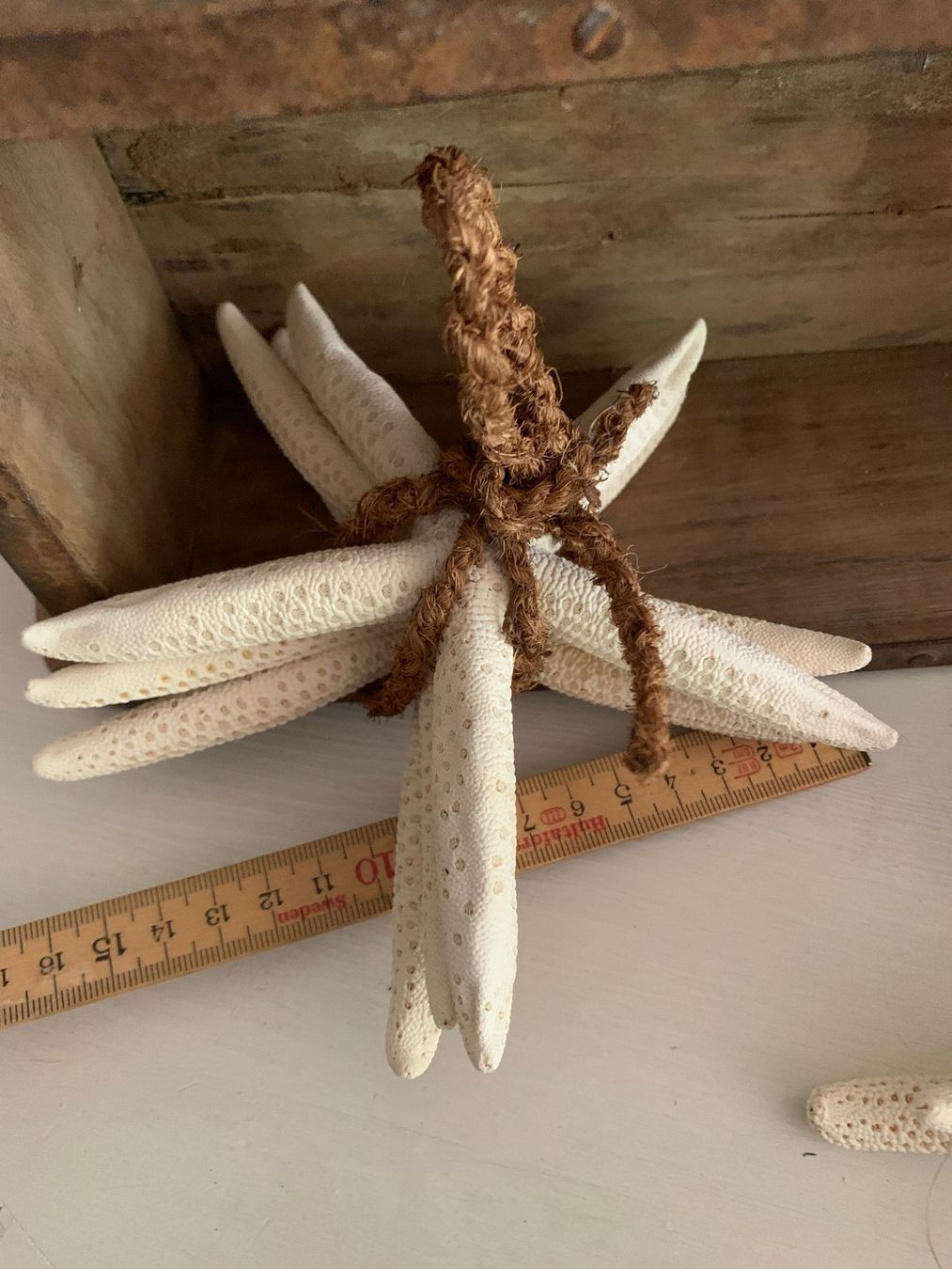 Alle Dekorationen: maritime Deko, Seesternbündel, starfish – Gebraucht aus St. Gallen von Miousch 5
