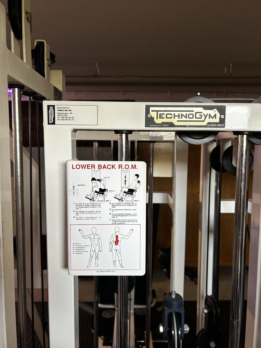 Technogym Hometrainer: Technogym Lower Back R.O.M. Kraftgerät gebrauchter Zustand – Usato da Luthern venduto da Kuestenwolff 1