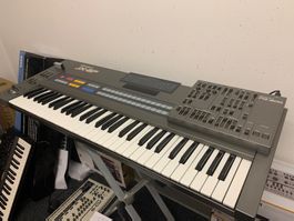 Roland JX-8P + PG800