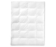 Duvet Ente 160x210, 1000gr Daunen 30%, NEU ovp
