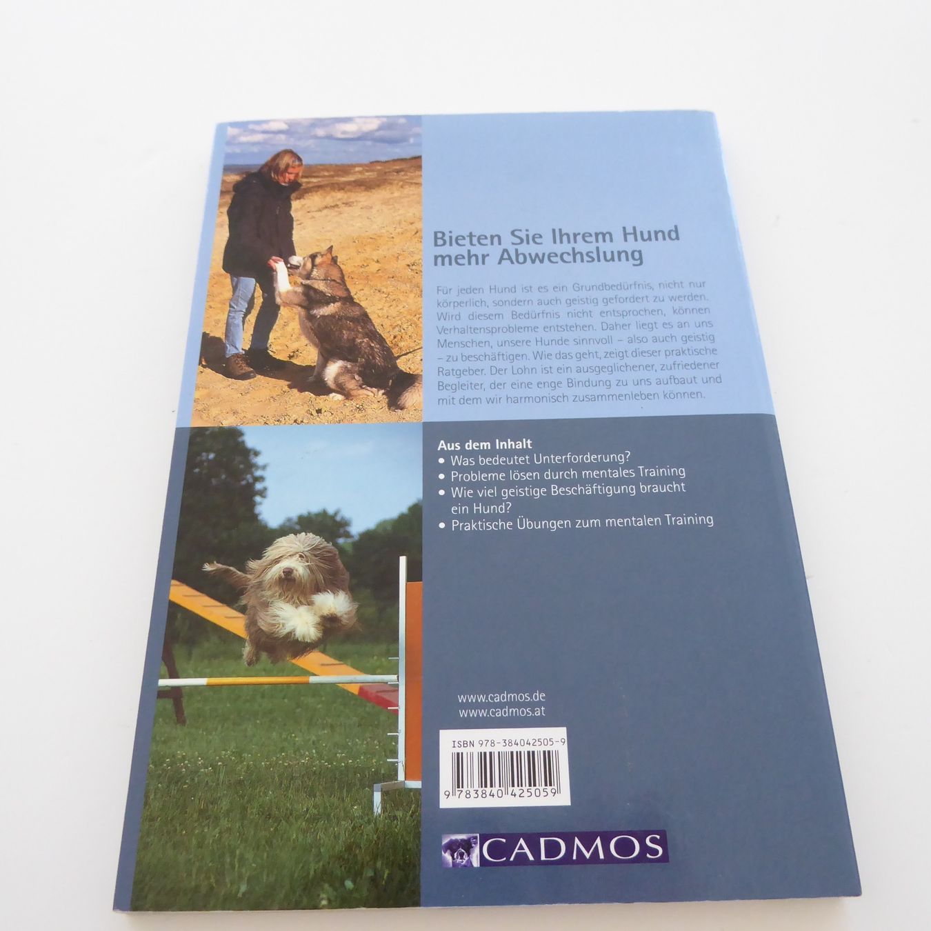 Libri: Mentales Training für Hunde – Usato da Basel venduto da Kunterbunt12 1