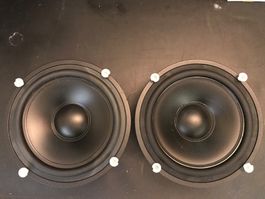 2x8Zoll Bass-Chassis,Made in Norway(SEAS?),neu und unbenutzt
