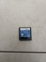 nintendo ds dolphin island
