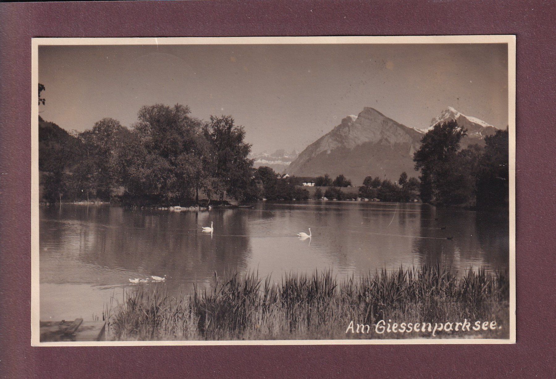 Ansichtskarten: Bad Ragaz - Am GIESSENPARKSEE - 1931 – Gebraucht aus Pully von nicecards