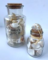 Dekoflaschen mit Muscheln Maritim 2er Set
