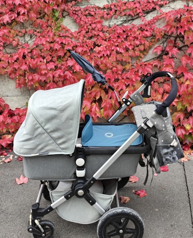 Bugaboo Carrozzine: Apron for Bugaboo Cameleon 3 – Usato da Steinhausen venduto da Olga.S 2