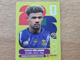 Panini Sticker Südafrika 2