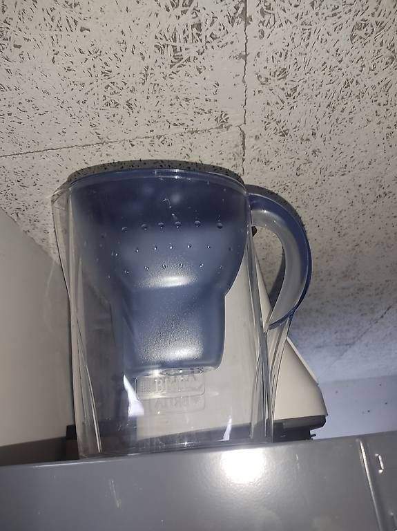 Brita Elettrodomestici da cucina: Wasserfilter Kanne inkl. Filtern – Usato da Altstätten SG venduto da mar_6ymt 1