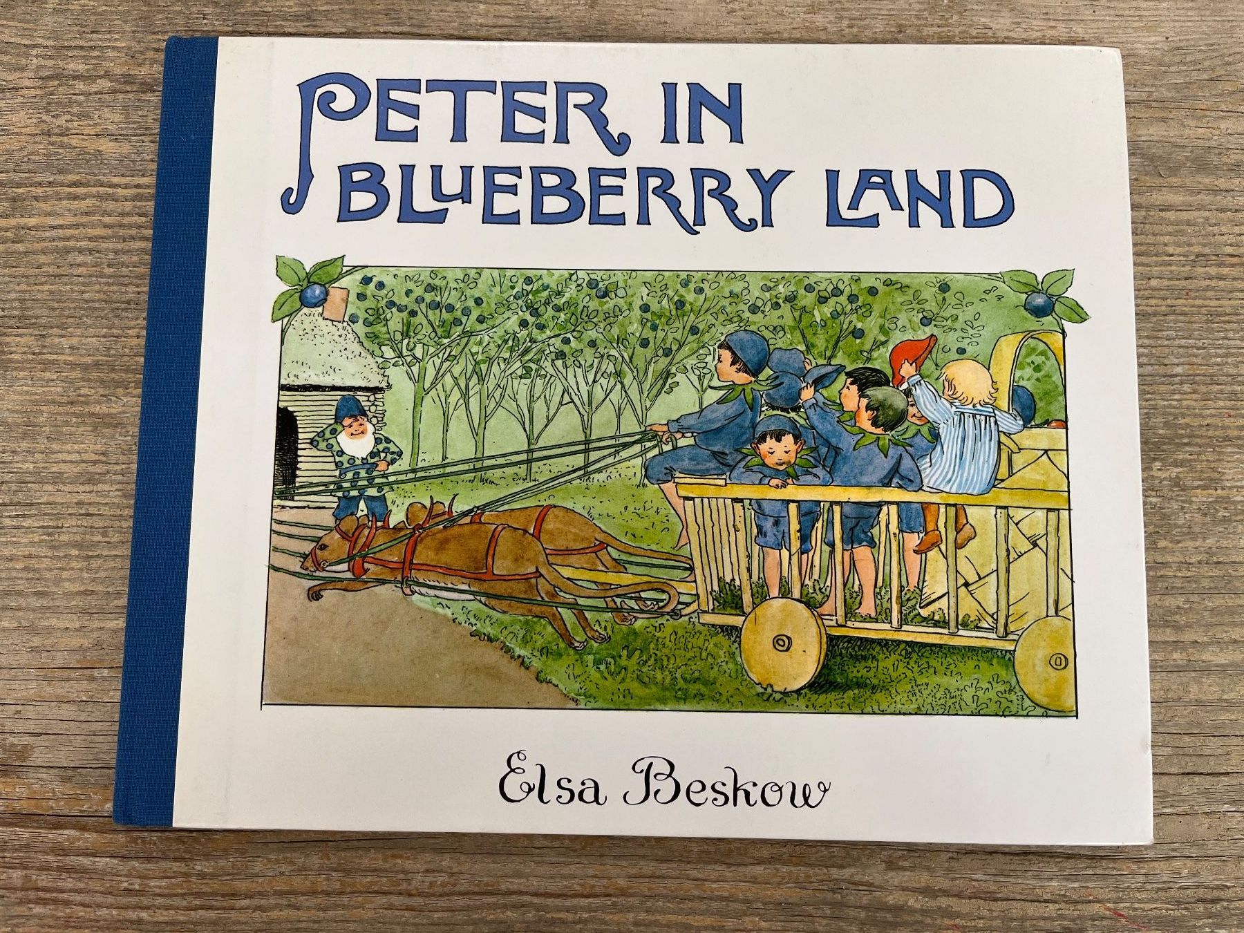 Libri: Elsa Beskov: Peter in Blueberry Land – Usato da Pfäffikon ZH venduto da buresi