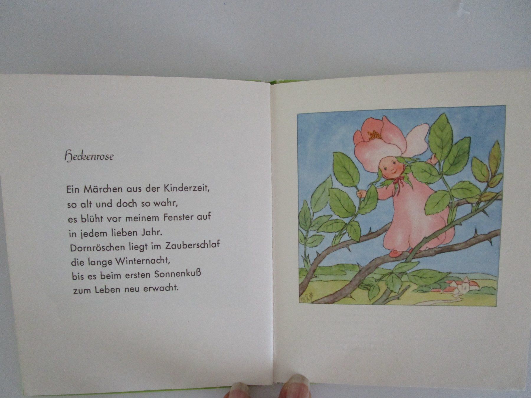 Livres: Die Frühlingskinder – D'occasion à Langenthal par majarose 3