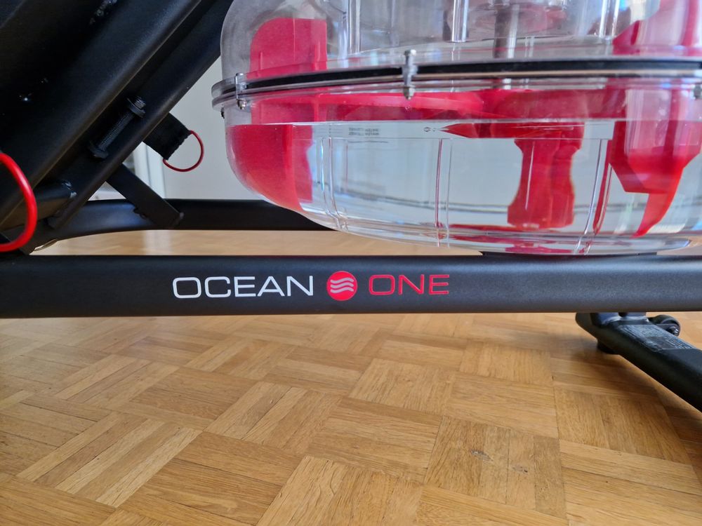 Ocean | Hammer Ricardo One auf Kaufen Wasserrudergerät