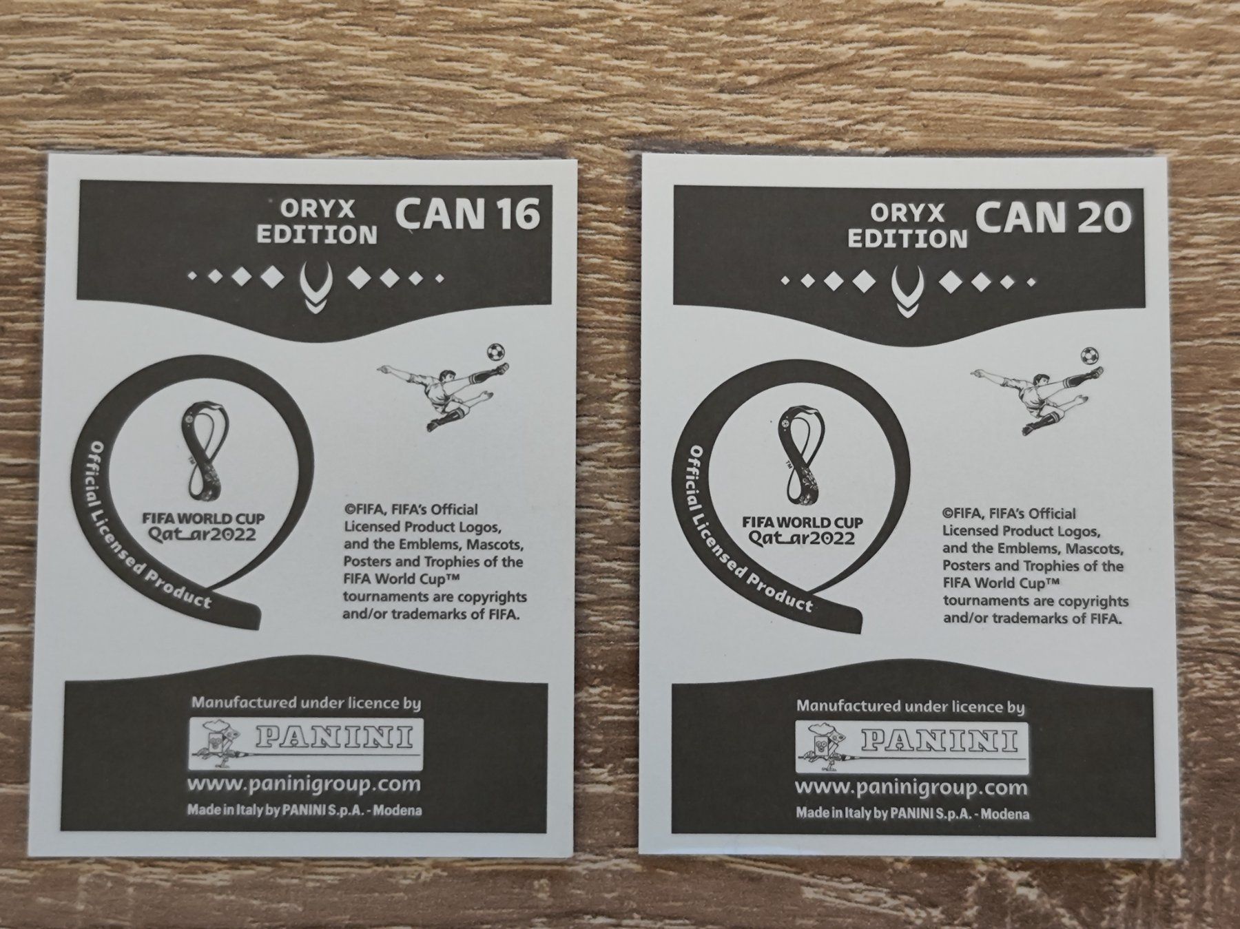 Panini Carte collezionabili: Canada Fifa World Cup Qatar 2022 – Nuovo (secondo la descrizione) da Fislisbach venduto da Hast1976 1