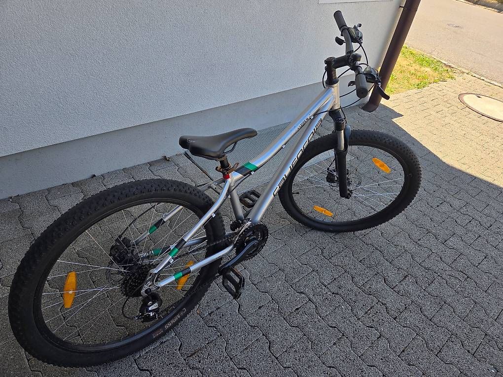 Biciclette: Bike California Laser M – Usato da Dinhard venduto da Xspark 2