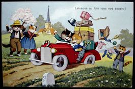 AK Katzen Reise mit Auto