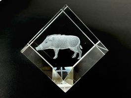 3D Laser Art Kristall Wildschwein
