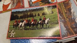 Penelope Puzzle Reiter Pferde 250 Teilr