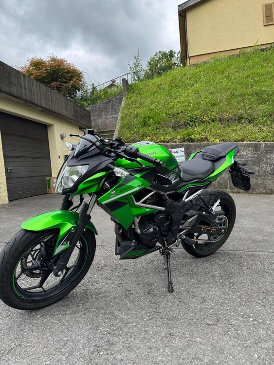 Kawasaki Z125 Gebraucht