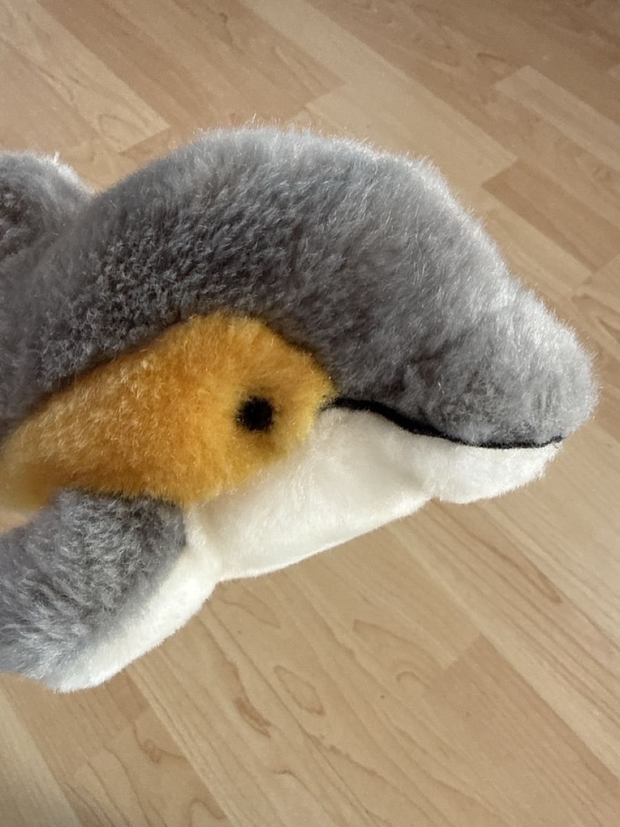 Giocattoli: Plüschtier Delphin – Usato da Dettighofen (Lengwil) venduto da Dolol 1