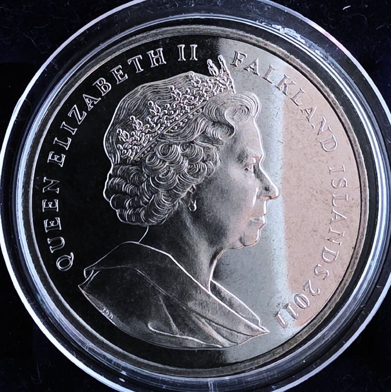 Tutti le monete: FALKLAND INSEL 1 CROWN 2011 UNZ. – Nuovo (secondo la descrizione) da winterthur venduto da CoinPassion 1