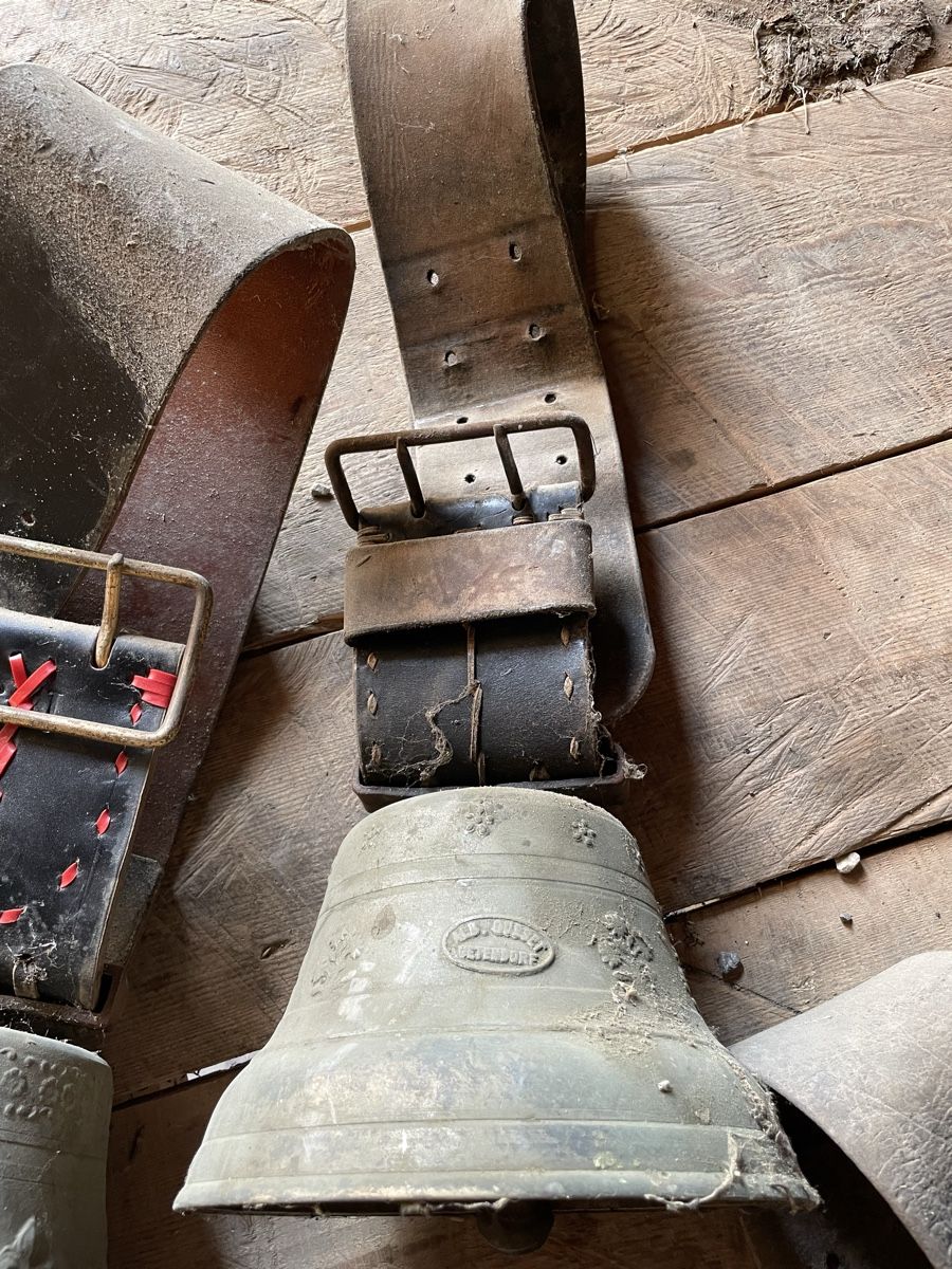Glocken & Treicheln: Glocken, Schellen grosser Posten! – Gebraucht aus Burgistein von hac_72zv 1
