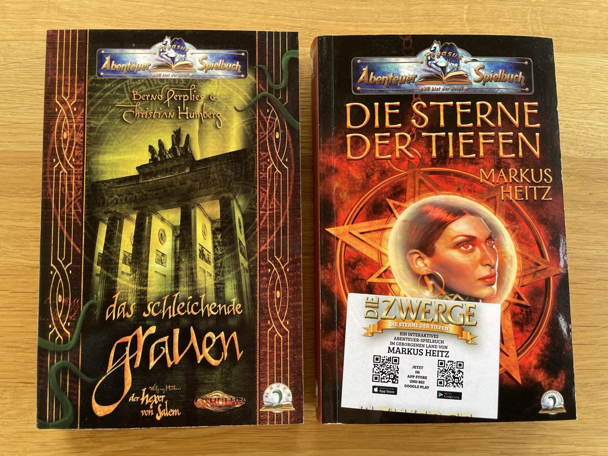 Libri: Set à 2 Abenteuer-Spielbuch – Nuovo (secondo la descrizione) da Dörflingen venduto da Pazifiktaucher