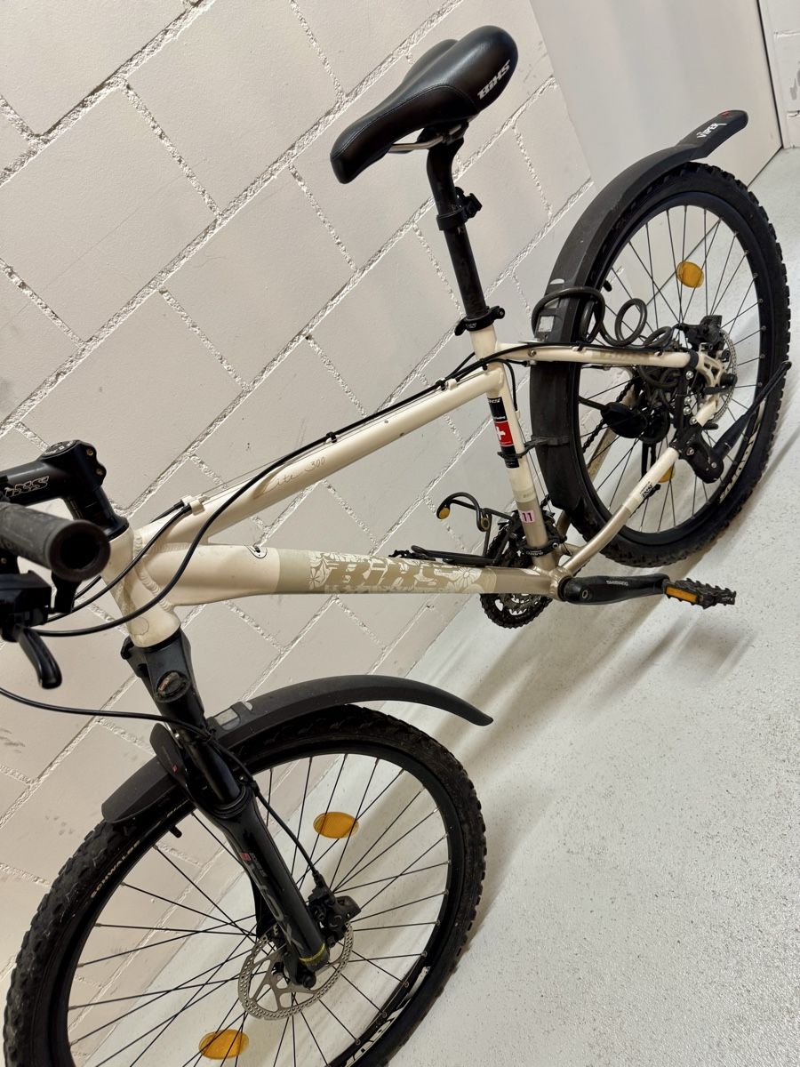 Bixs Velos: BIXS Damenvelo, Swiss Product – Gebraucht aus Steffisburg von mina-pam