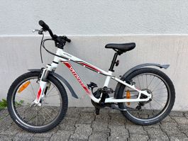Kindermountainbike - Specialized - 20 zoll