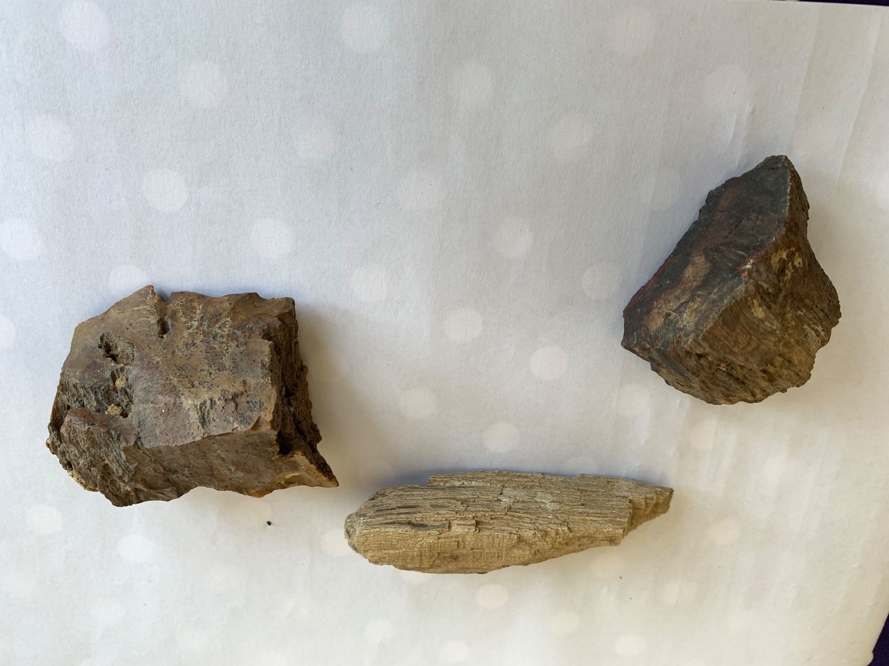 Fossili: 3 Interessante "Ver?"-steinerungen – Usato da Basel venduto da Akinom50 1
