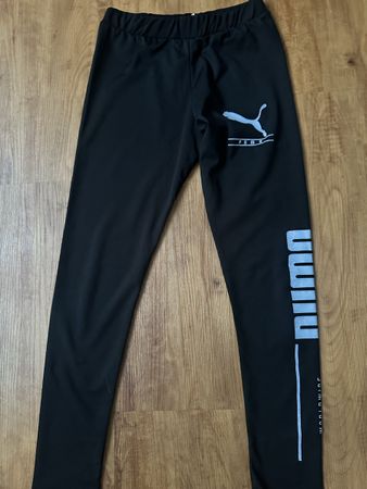 Puma running