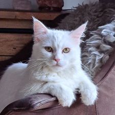 Profile image of crazydream