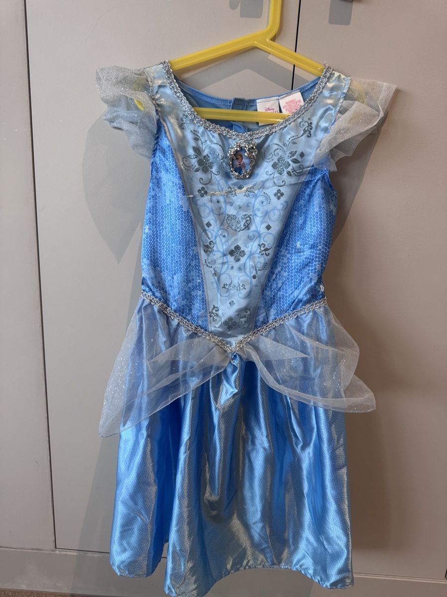 Costumi: Cindarella carnival dress  – Usato da Ruvigliana venduto da lux_t2sb