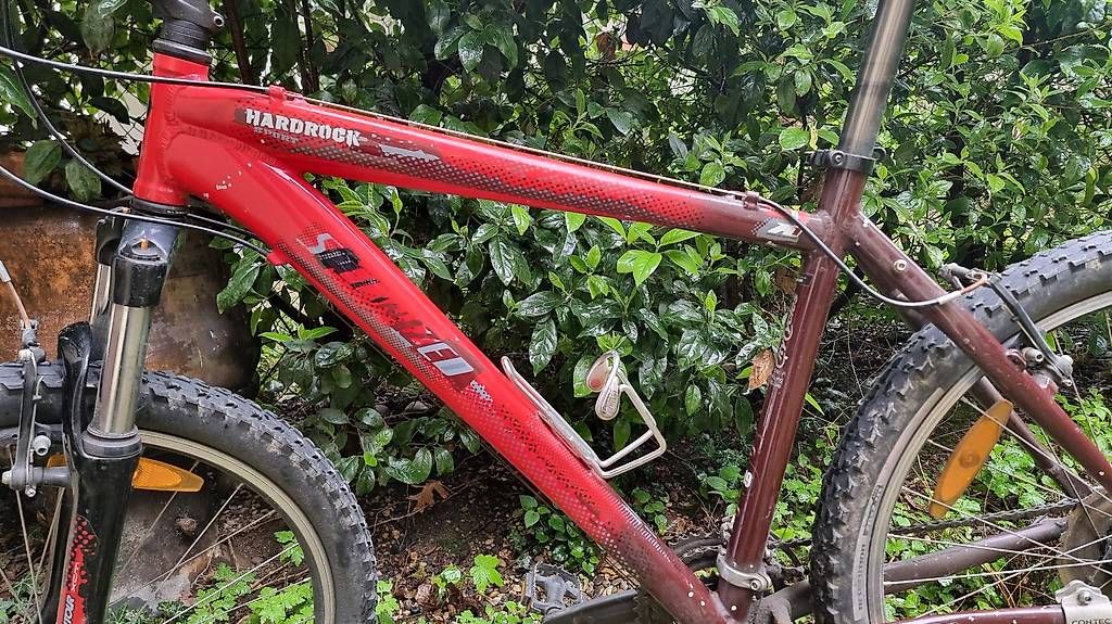 Specialized Biciclette: Specialized Mountainbike – Usato da Basel venduto da Phillip_G 1