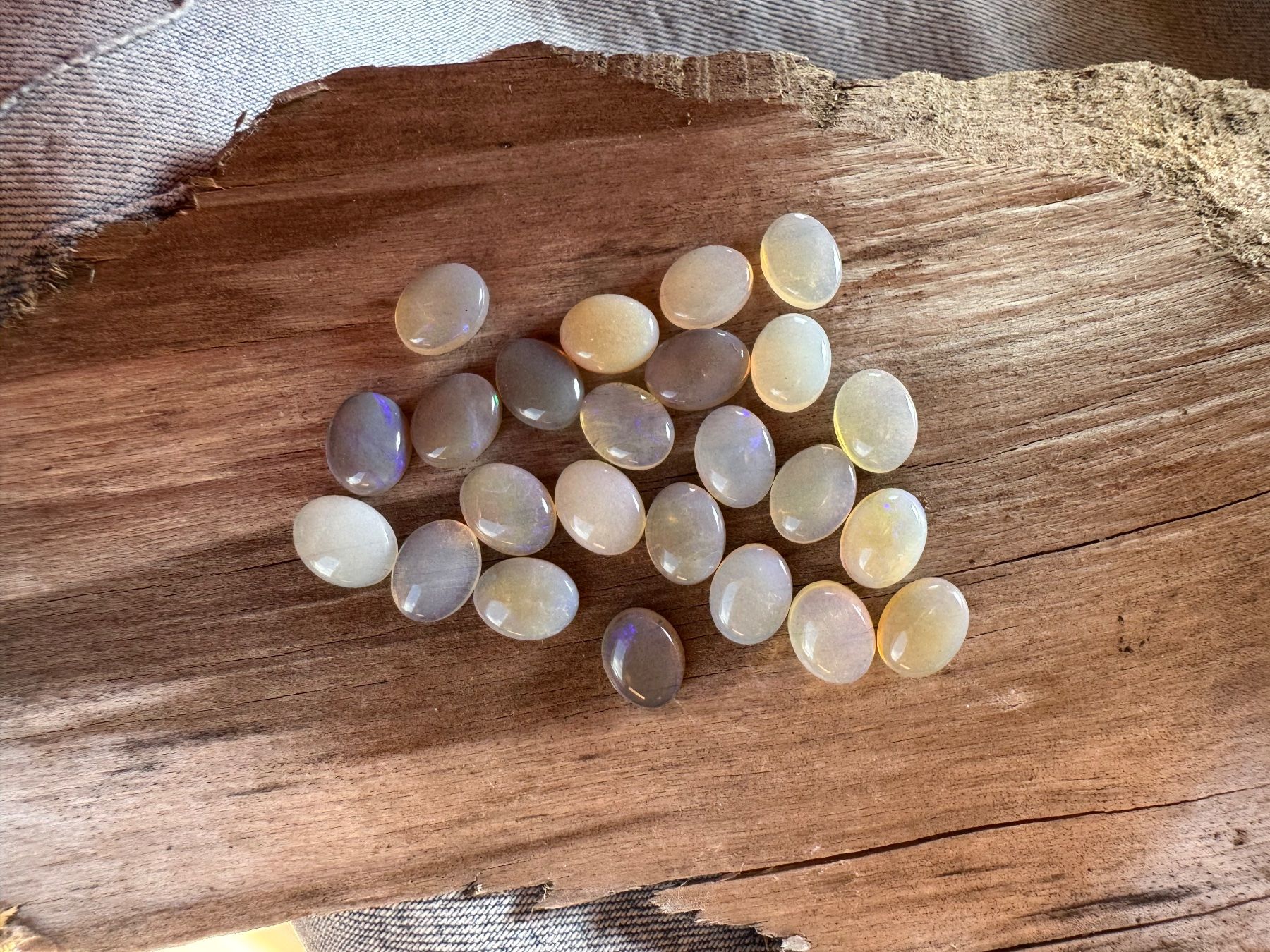 Fossilien: 24 Stk  Cabochons Opal  echt!!  oval    7x9mm  solid – Neu und originalverpackt aus Leuggern von gemshow 5