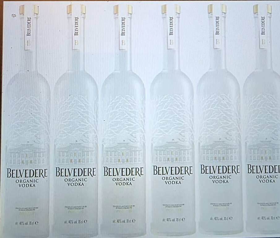 Bevande alcoliche: 6 FLASCHE VODKA BELVENDERE ORGANIC – Usato da Schönenwerd venduto da 1952kv