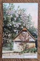 Fröhliche Pfingsten 1912 zu Luise Weilenmann in Töss