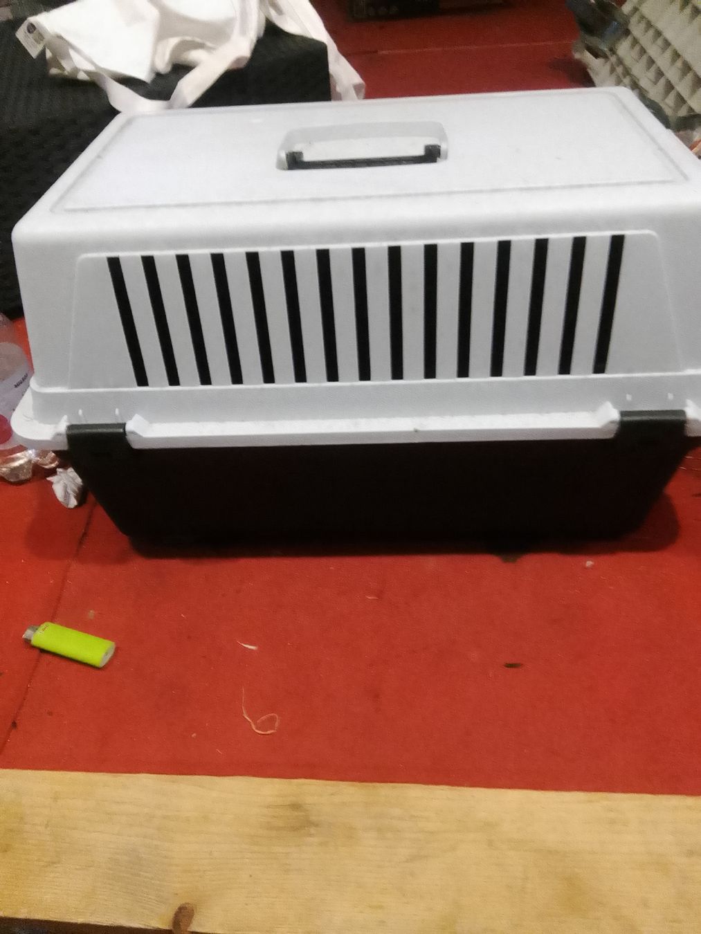 Cages, transport & sécurité: Katzen Transporter – D'occasion à Pfäffikon ZH par milcow