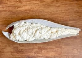 Tolles Naturprodukt (Stiel) geweisst, für DIY-Projekt - 003