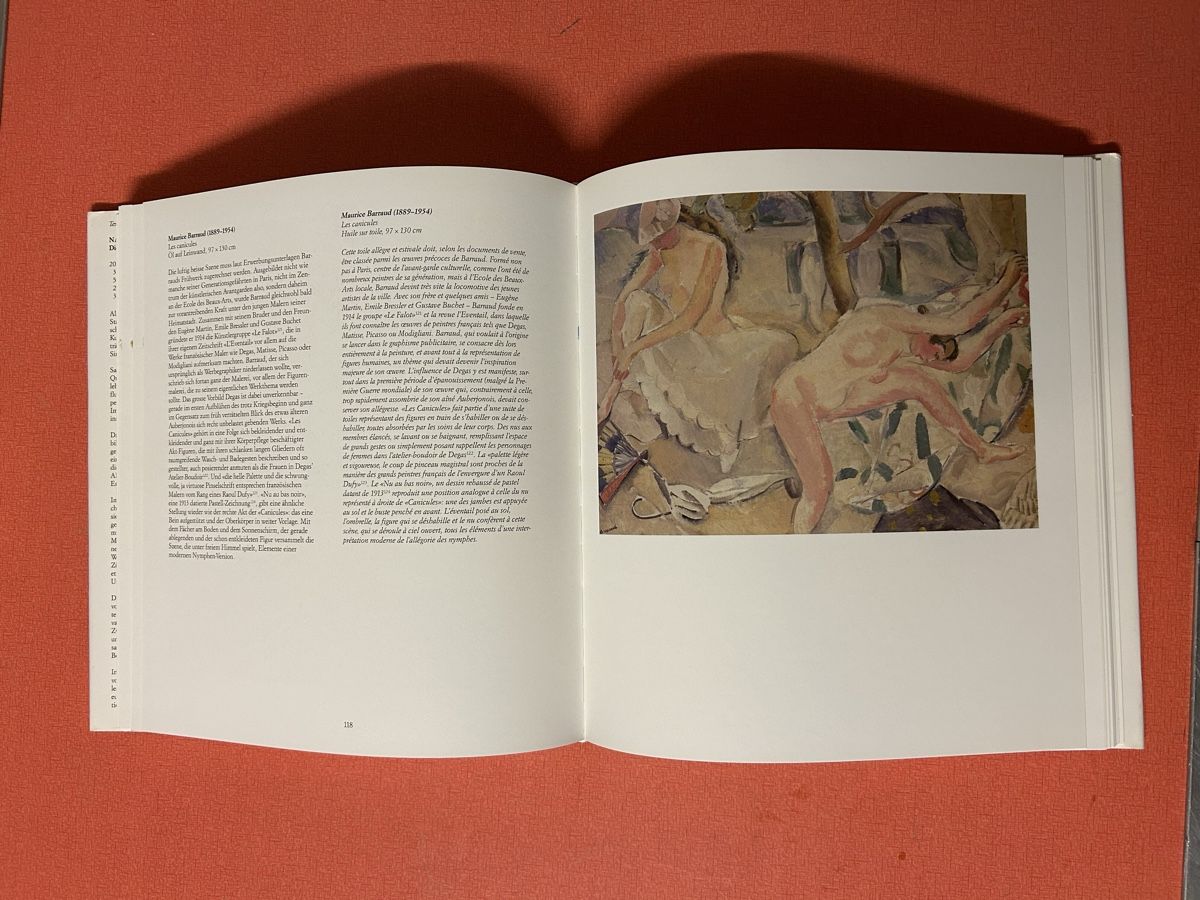 Libri: Rudolf Staechelin - Die Sammlung - Kunstbuch – Usato da Lanzenhäusern venduto da vic63 4