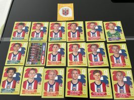 Panini WM 2026 NOR Norwegen Norway, fast vollständig 