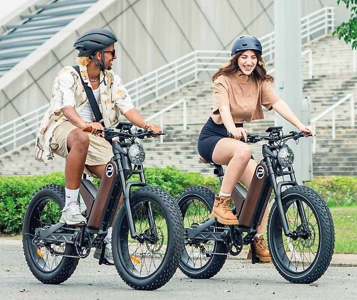 Velos: Elektrobike Antelope P5 750W 45Km/h – Gebraucht aus Hauptwil von Dragon-Import 1