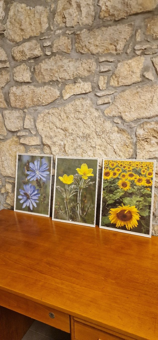Posters & Illustrations: 3 Bilder mit Blumen Motiv  – D'occasion à Grellingen par syl_t5wm