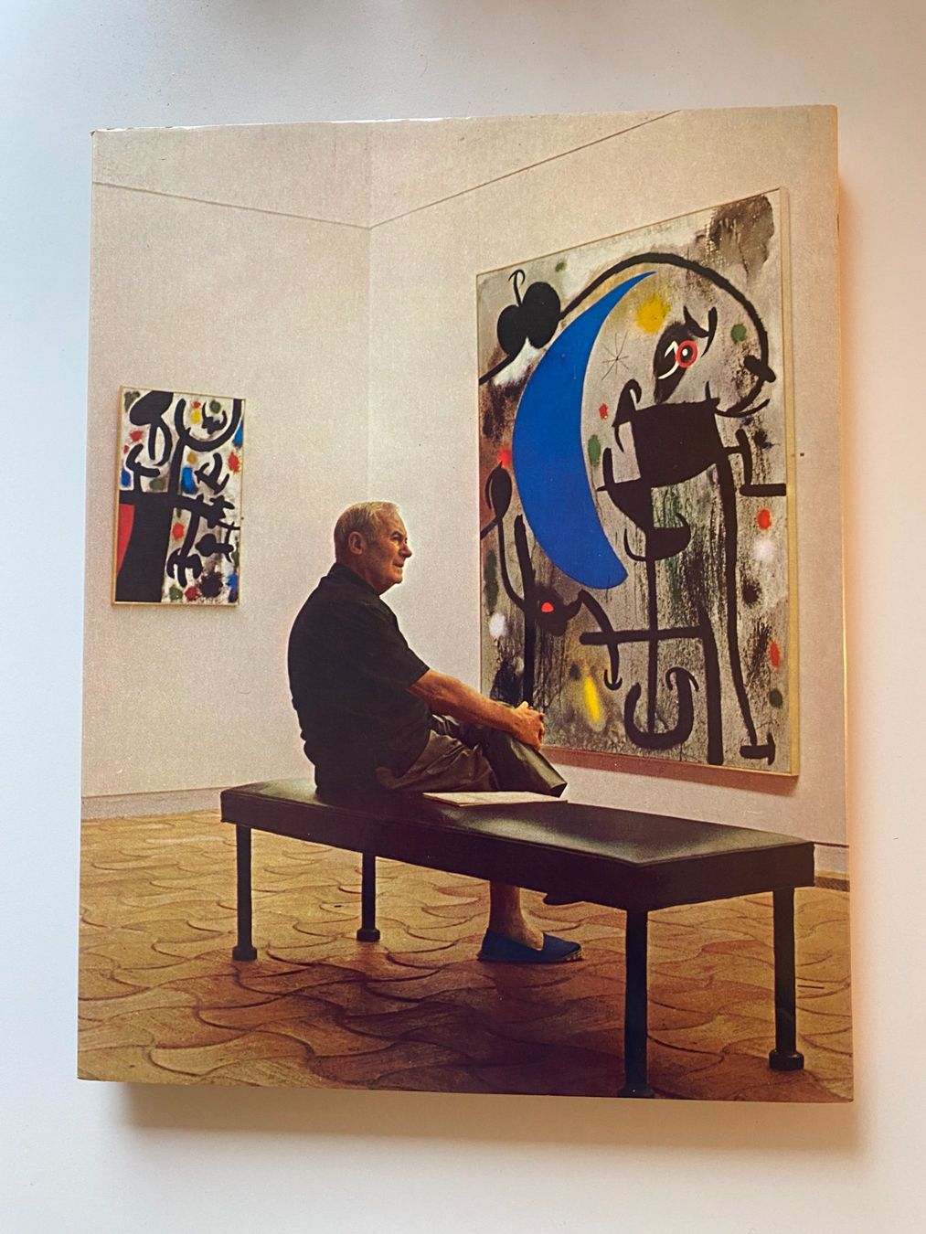 Livres: Kunst Buch, Hommage a Joan Miro – D'occasion à Gümligen par Vicky2 6