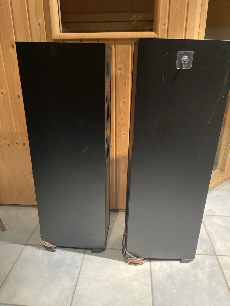 Klipsch Home Cinema: Standlautsprecher Klipsch R-620F schwarz – Usato da Unterkulm venduto da AnoliOccasion 2