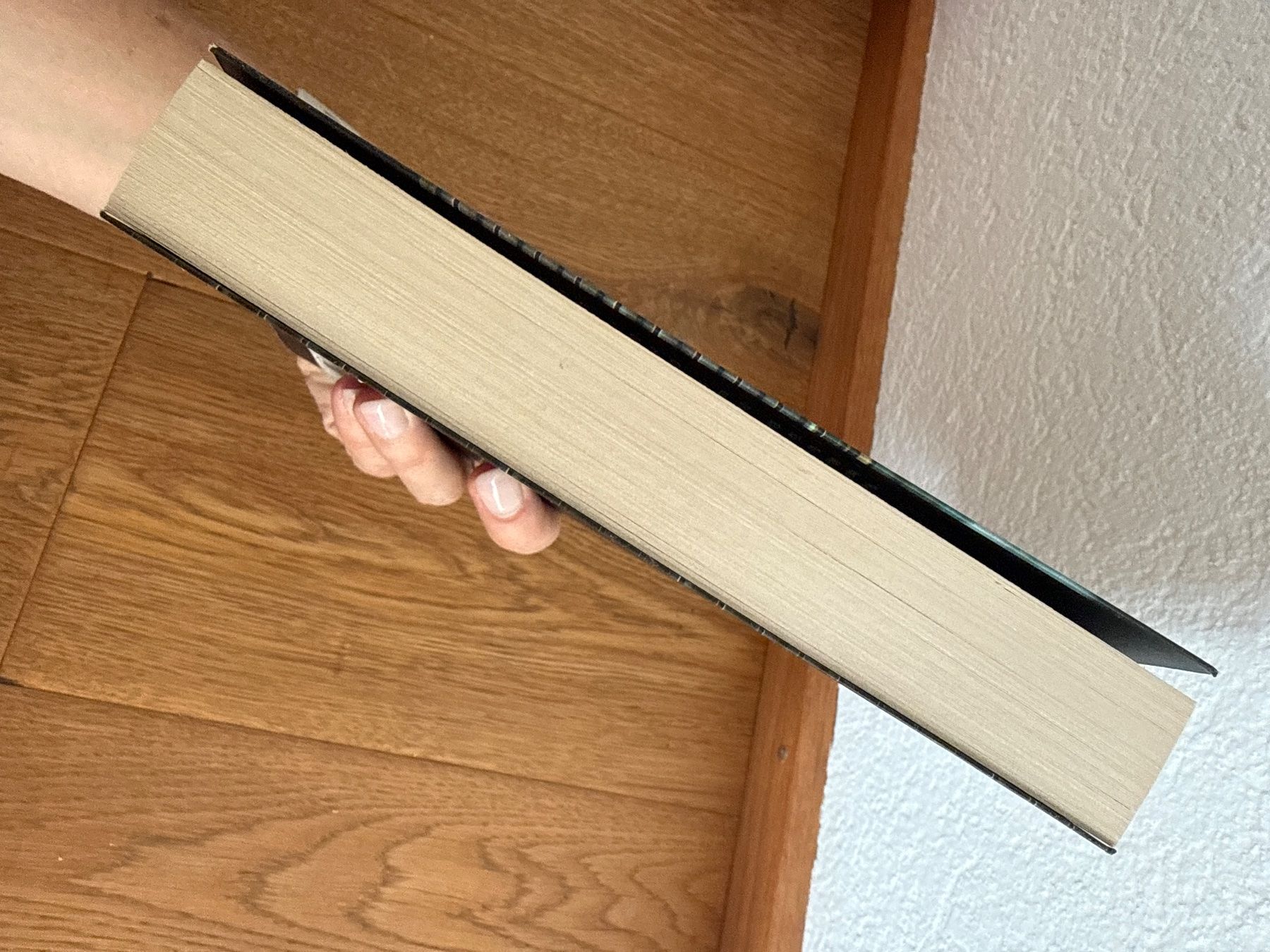 Libri: Karine Giebel: Terminus Elicius – Usato da Horw venduto da Edith1981 2