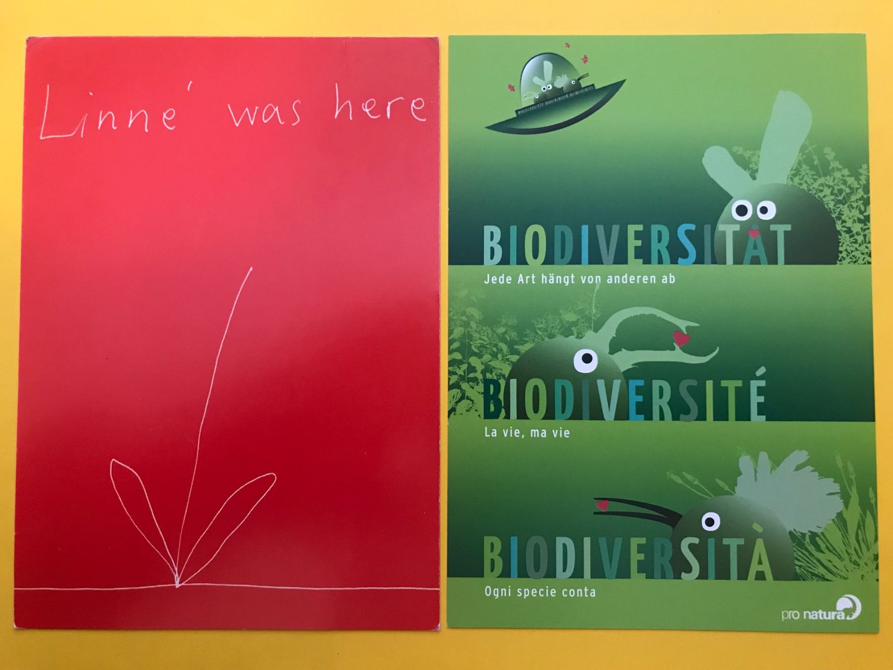 Ansichtskarten: 2x Postkarten Linné / Biodiversität – Gebraucht aus Luzern von mey_s13