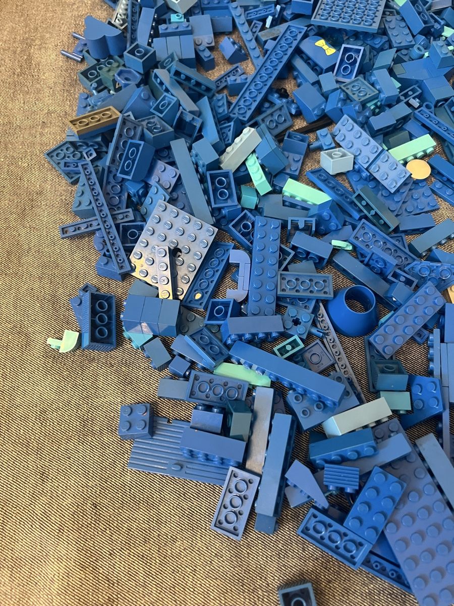 Lego Giocattoli: Konvolut blauer Lego Steine. 1kg. – Usato da Zollikon venduto da elm_nrr7 2