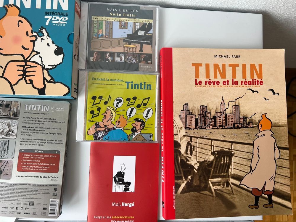 Tintin - Diorama Moulinsart 43200 - Tintin découvre Haddock - (2009