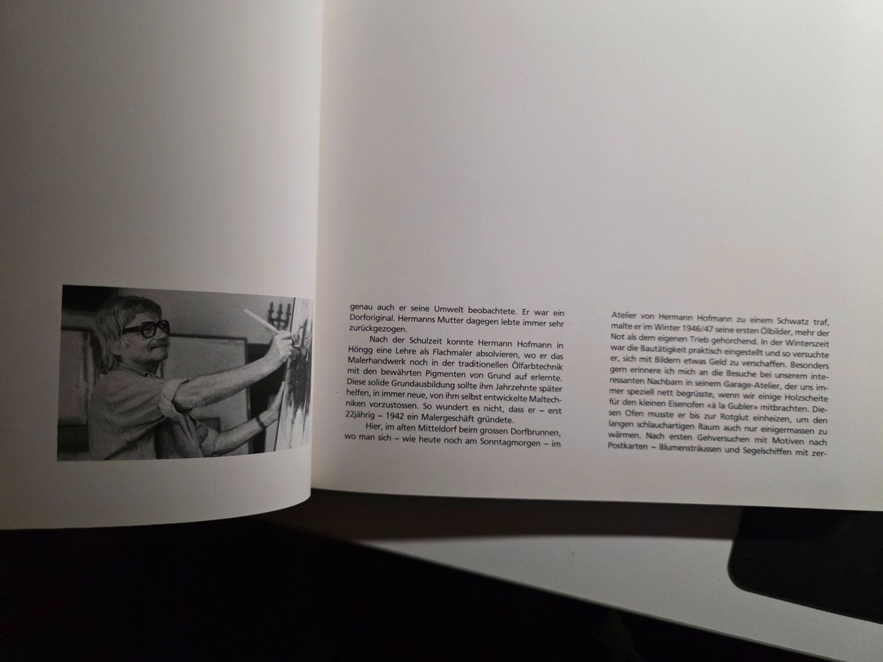 Libri: Hermann Hofmann Unterengstringen - Kunst Katalog 1990 – Usato da Walterswil BE venduto da Lonitti 5